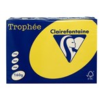 TROPHEE 160GSM BOARD A4 INTENSIVE YELLOW PACK 250