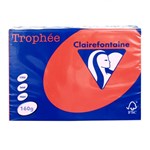 TROPHEE 160GSM BOARD A4 CORAL RED PACK 250