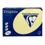 TROPHEE 160GSM BOARD A4 CANARY PACK 250