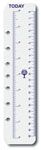 DEBDEN DAYPLANNER DESK EDITION REFILL TODAY RULERS DESK SIZE PACK 2