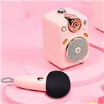 DIVOOM FAIRYOK MINI KARAOKE BLUETOOTH SPEAKER PINK