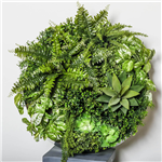 PLANT IMAGE VERTICAL WALL GARDEN ROUND MEDIUM